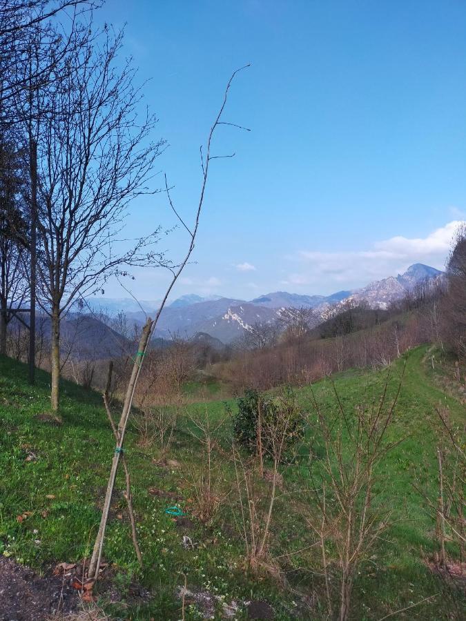 Chalet Simonetta - Locanda Da Tullio Capovalle Экстерьер фото